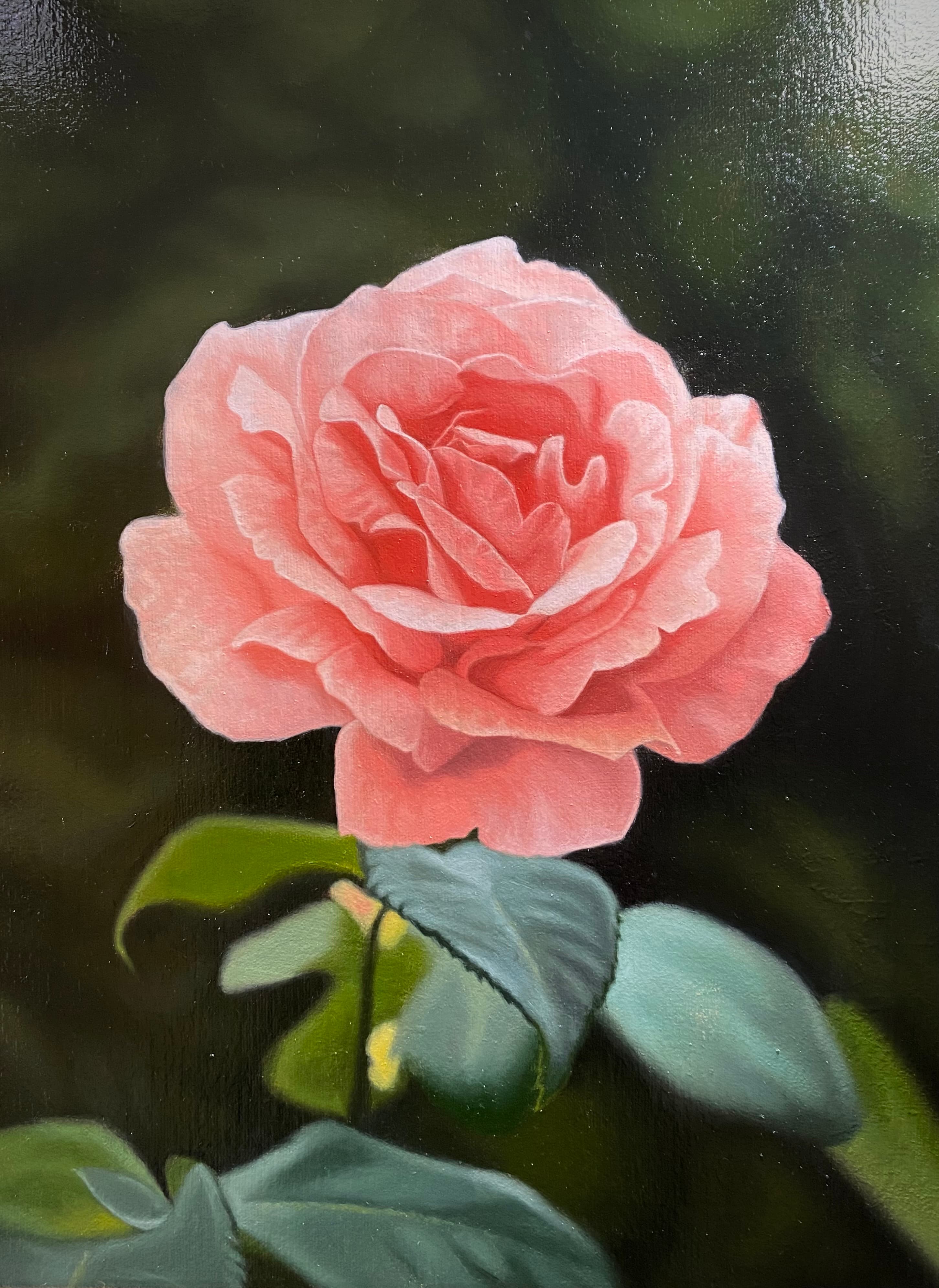 The Rose